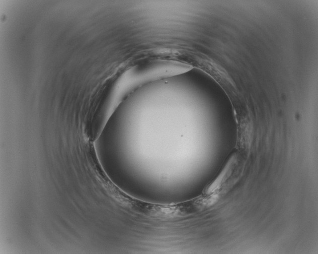 X0000067900329200604201341