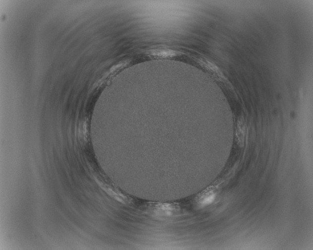 X0000067900330200604201341