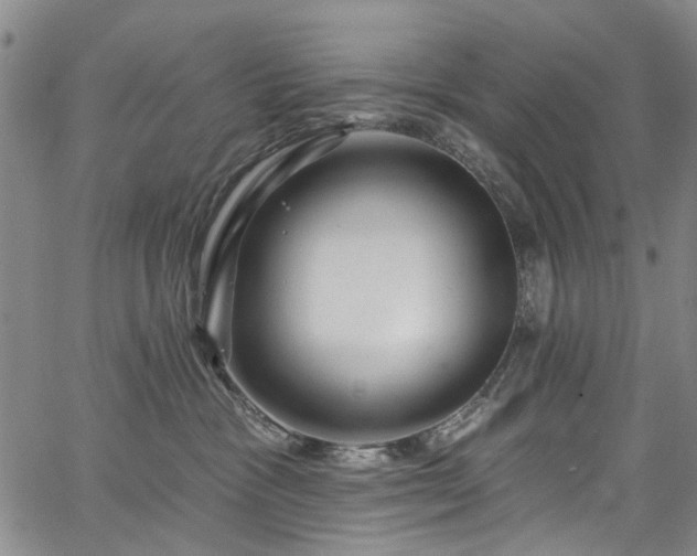 X0000067900333200604201341