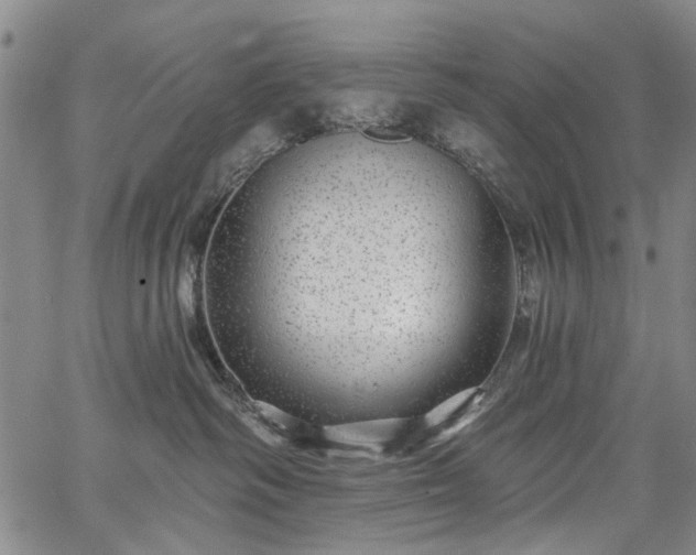 X0000067900334200604201341