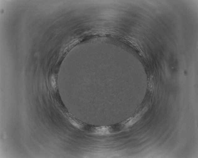 X0000067900335200604201341