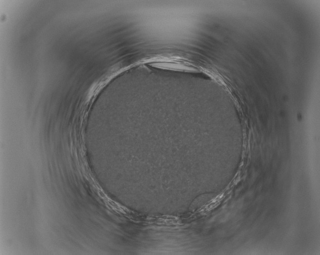 X0000067900337200604201340