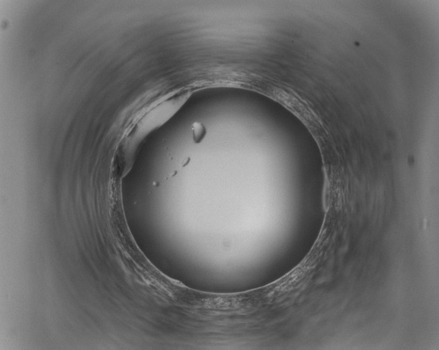 X0000067900338200604201340