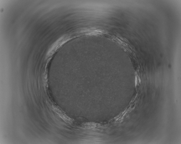 X0000067900339200604201340