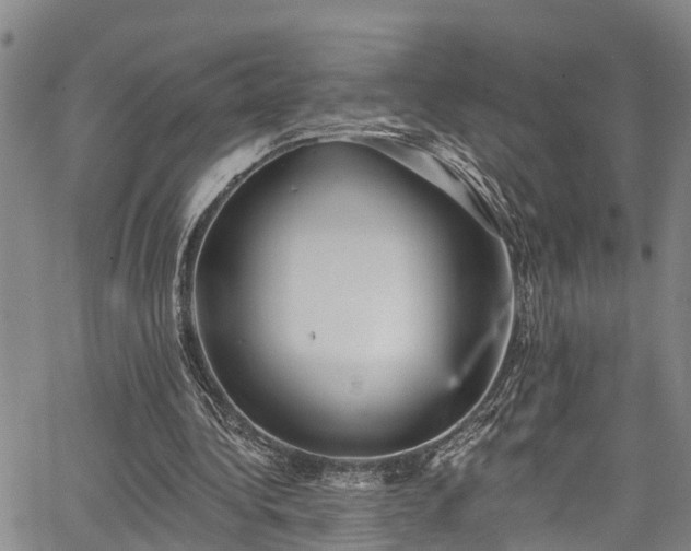 X0000067900340200604201340