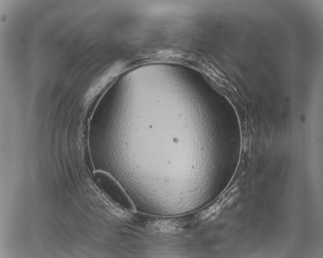 X0000067900341200604201340