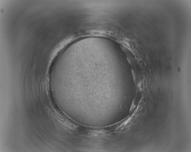 X0000067900342200604201340