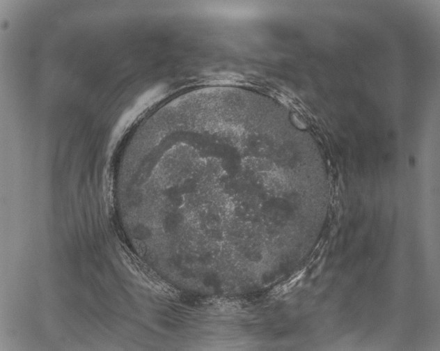 X0000067900343200604201340