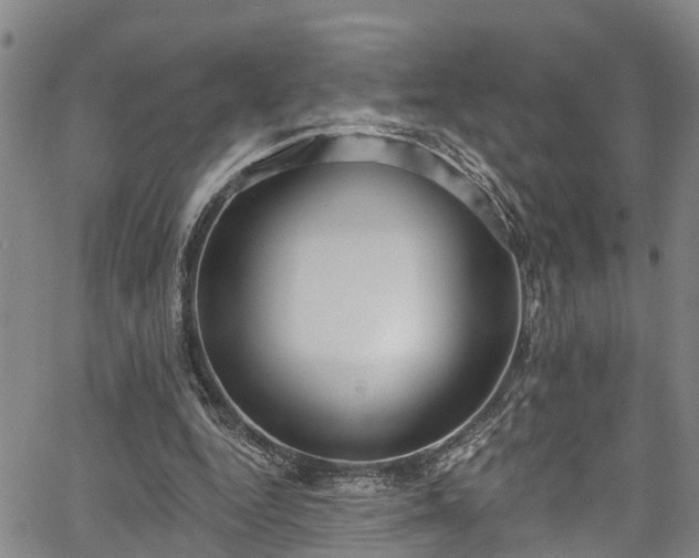 X0000067900344200604201340