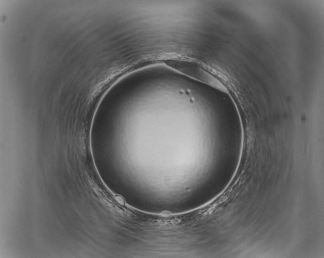 X0000067900345200604201340