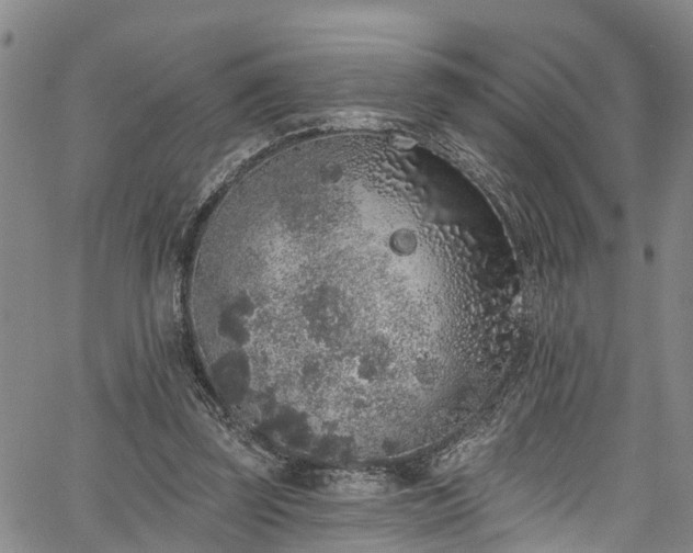 X0000067900347200604201340