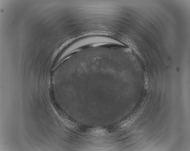 X0000067900348200604201340