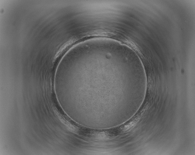 X0000067900349200604201340