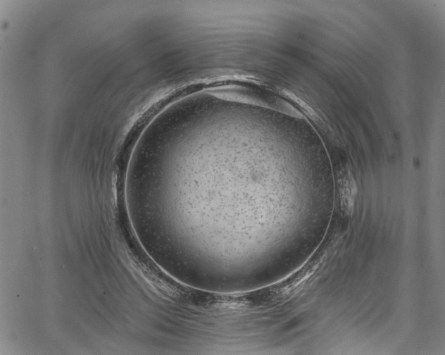 X0000067900350200604201340