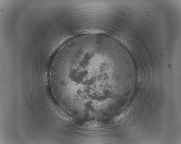 X0000067900351200604201341