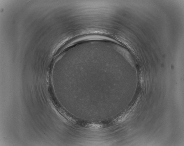 X0000067900352200604201341