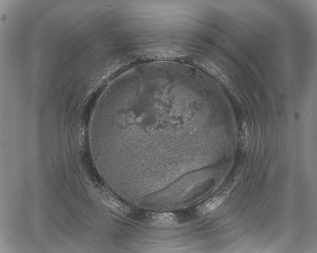 X0000067900355200604201341