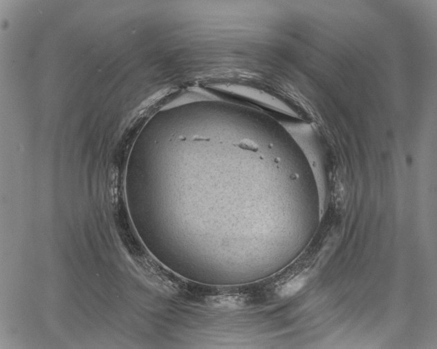 X0000067900356200604201341