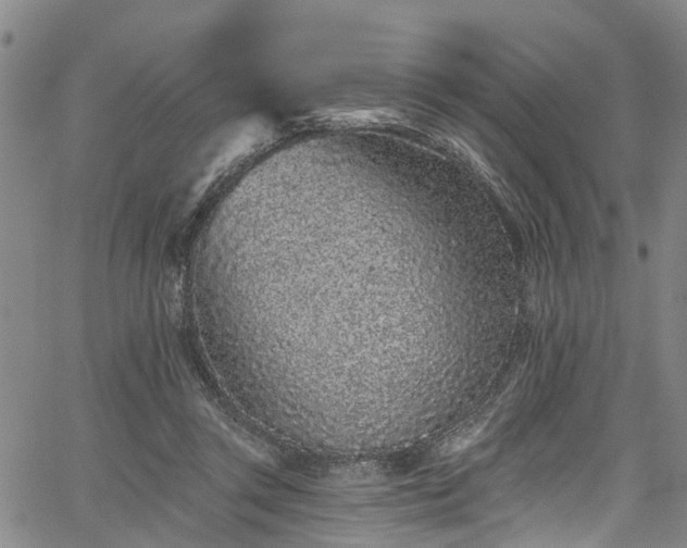 X0000067900357200604201341