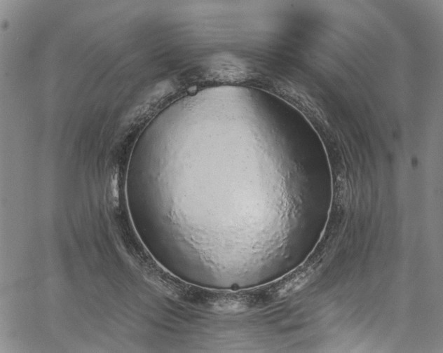 X0000067900358200604201341