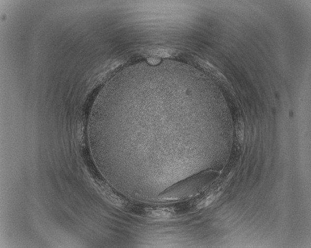 X0000067900359200604201341