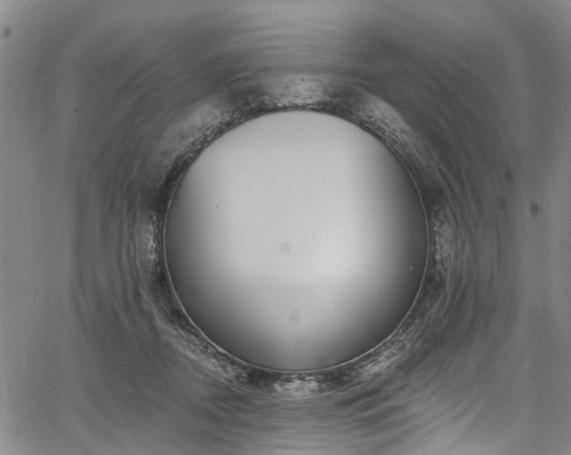 X0000067900362200604201341