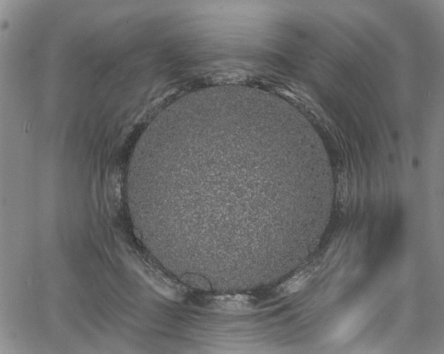 X0000067900363200604201341