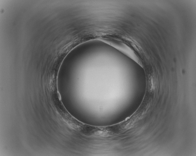 X0000067900364200604201341