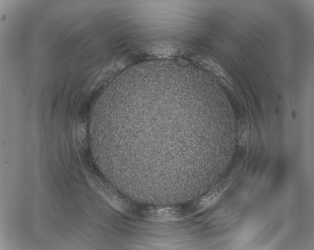 X0000067900365200604201341