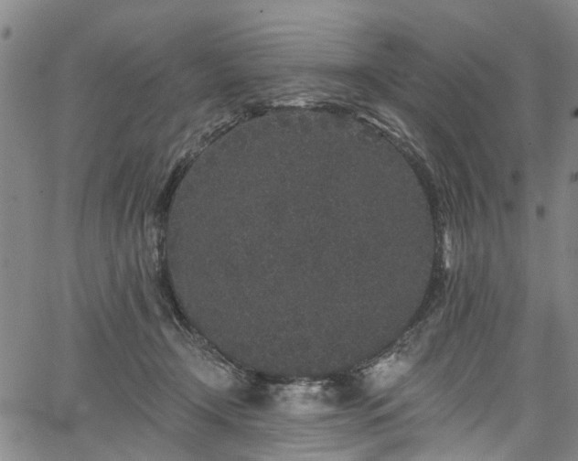 X0000067900366200604201341