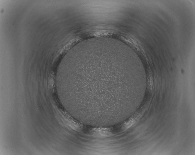 X0000067900367200604201341