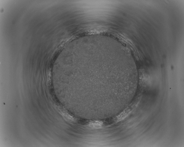 X0000067900369200604201341