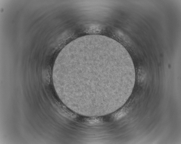 X0000067900370200604201341