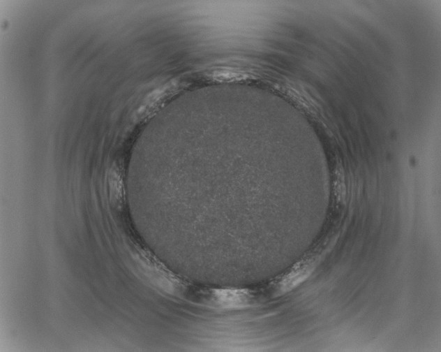 X0000067900371200604201341