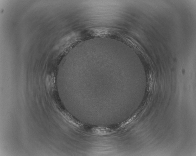 X0000067900372200604201341