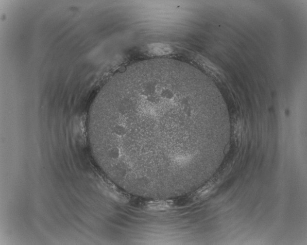 X0000067900373200604201341