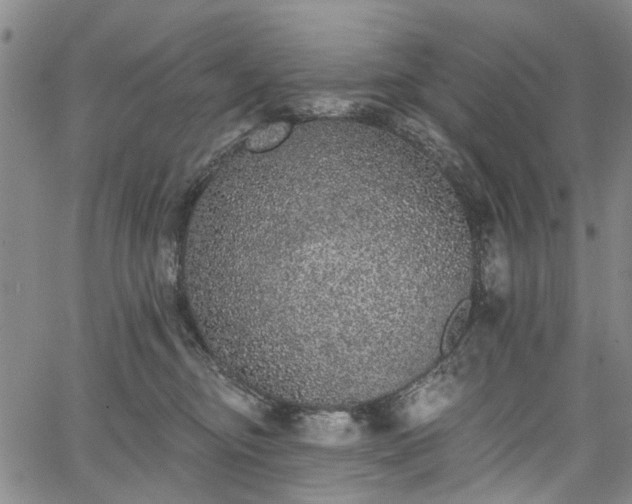 X0000067900374200604201341