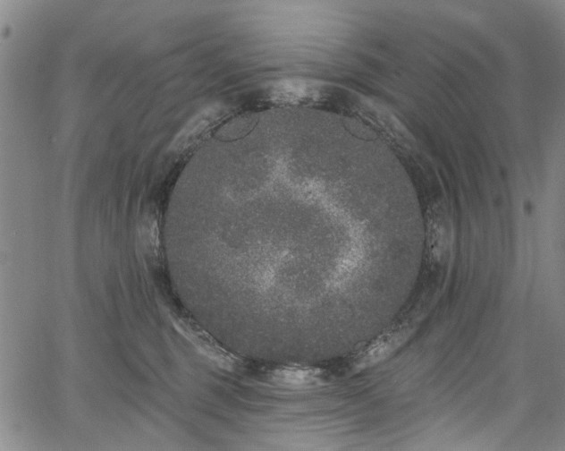 X0000067900375200604201341