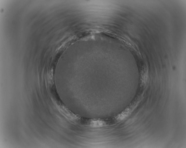 X0000067900376200604201341