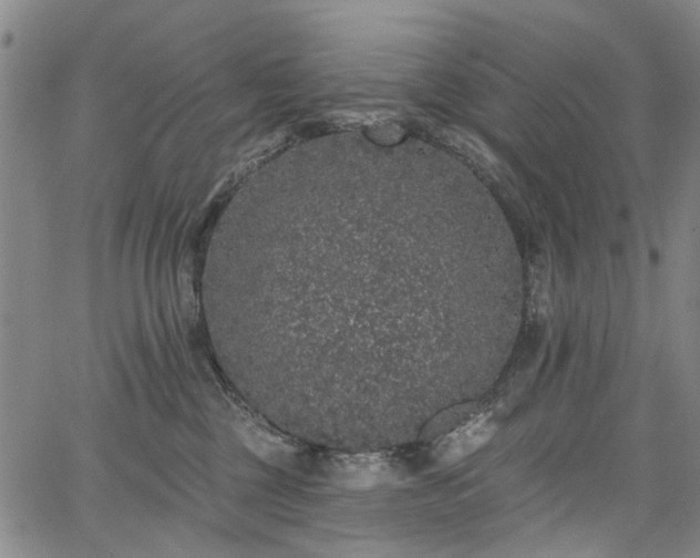 X0000067900377200604201341