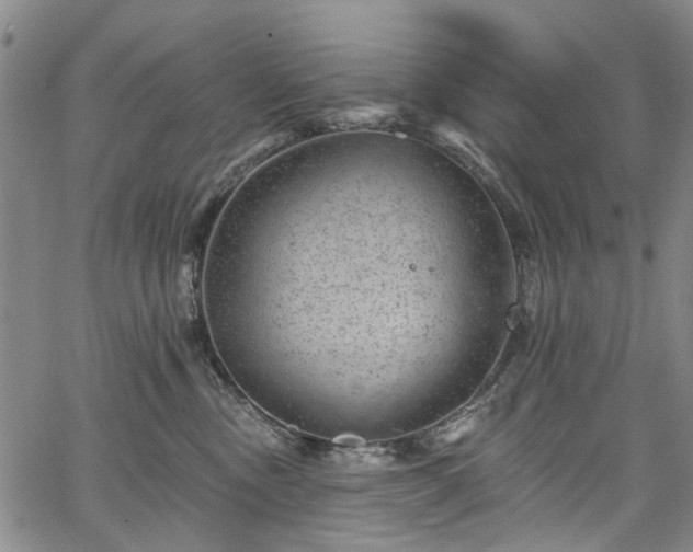 X0000067900378200604201341