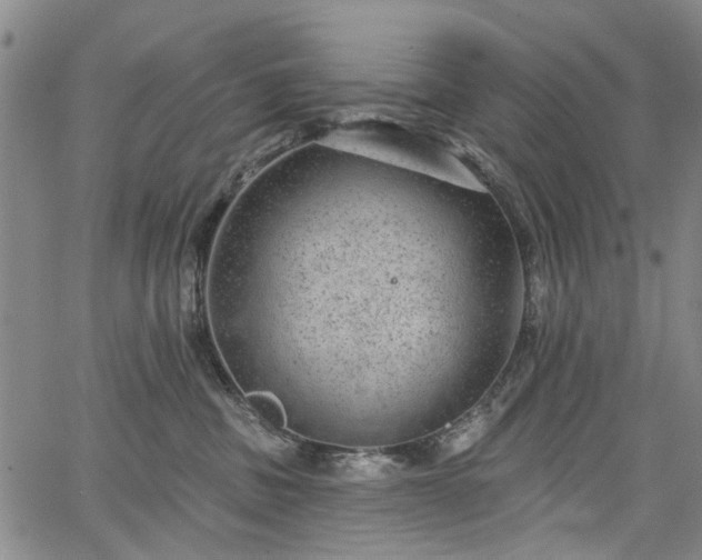 X0000067900379200604201341