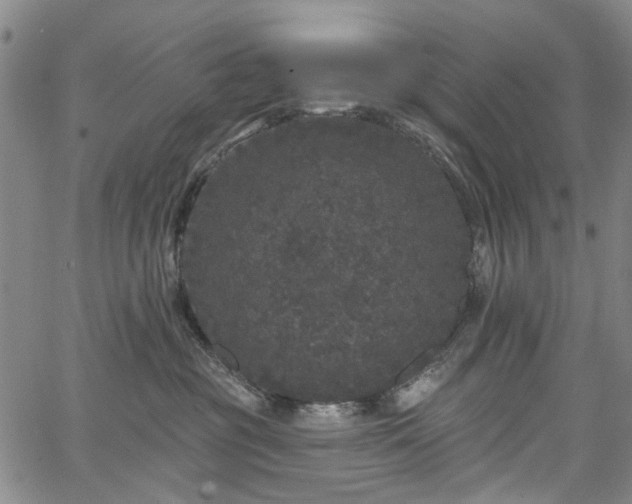 X0000067900381200604201341