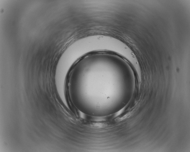 X0000067900382200604201341