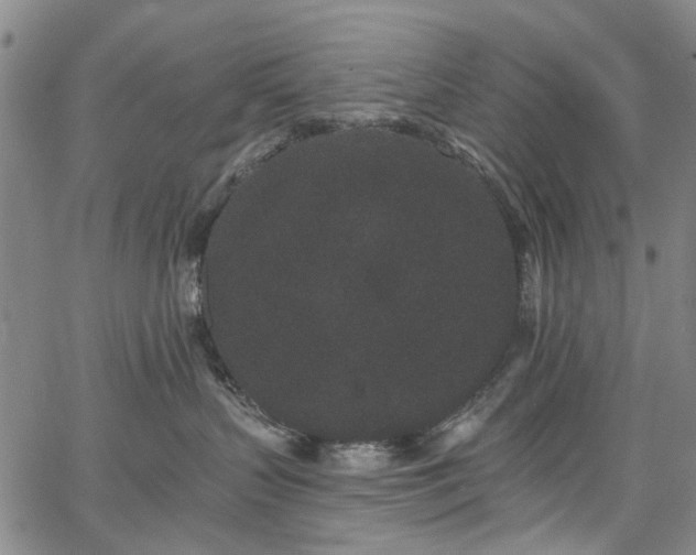 X0000067900383200604201341