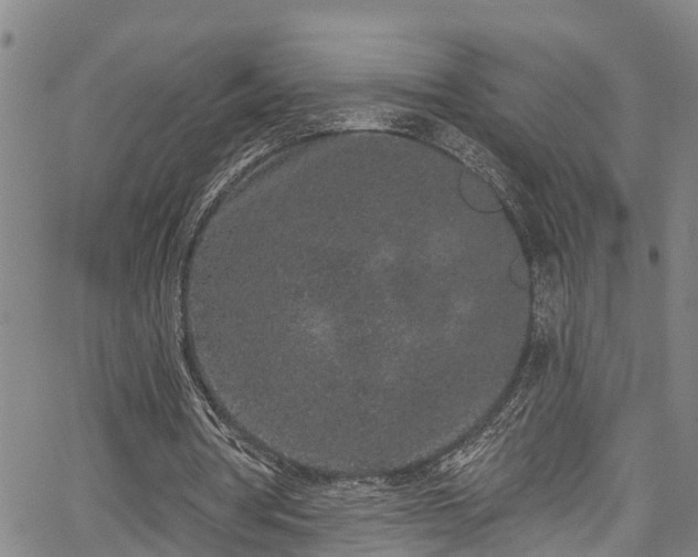 X0000067900386200604201340