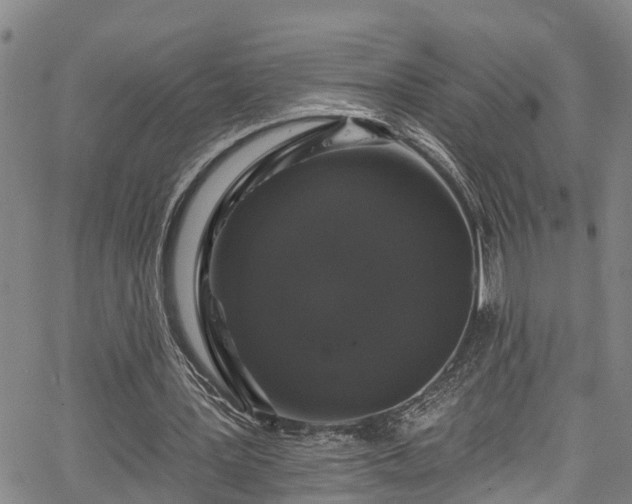 X0000067900387200604201340