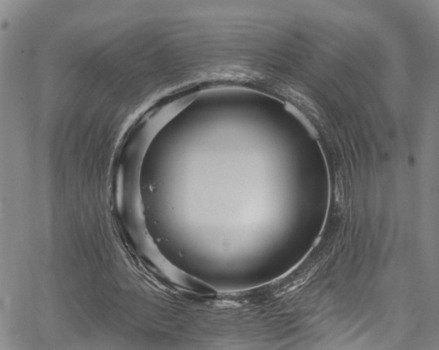 X0000067900388200604201340