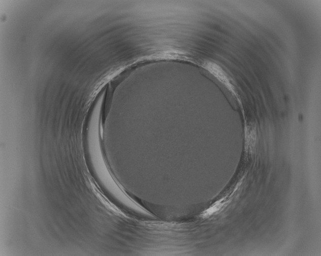 X0000067900389200604201340