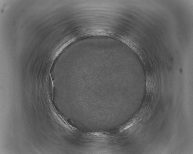 X0000067900390200604201340